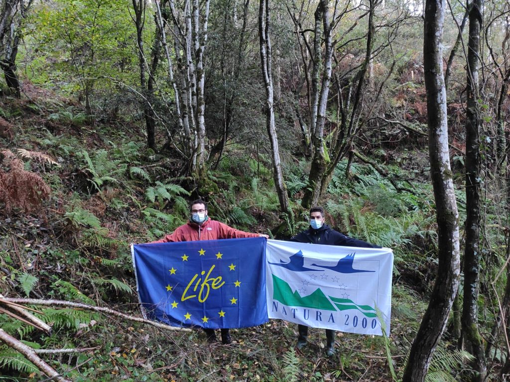 Equipo técnico LIFE Divaqua trabajando con el helecho Woodwardia radicans