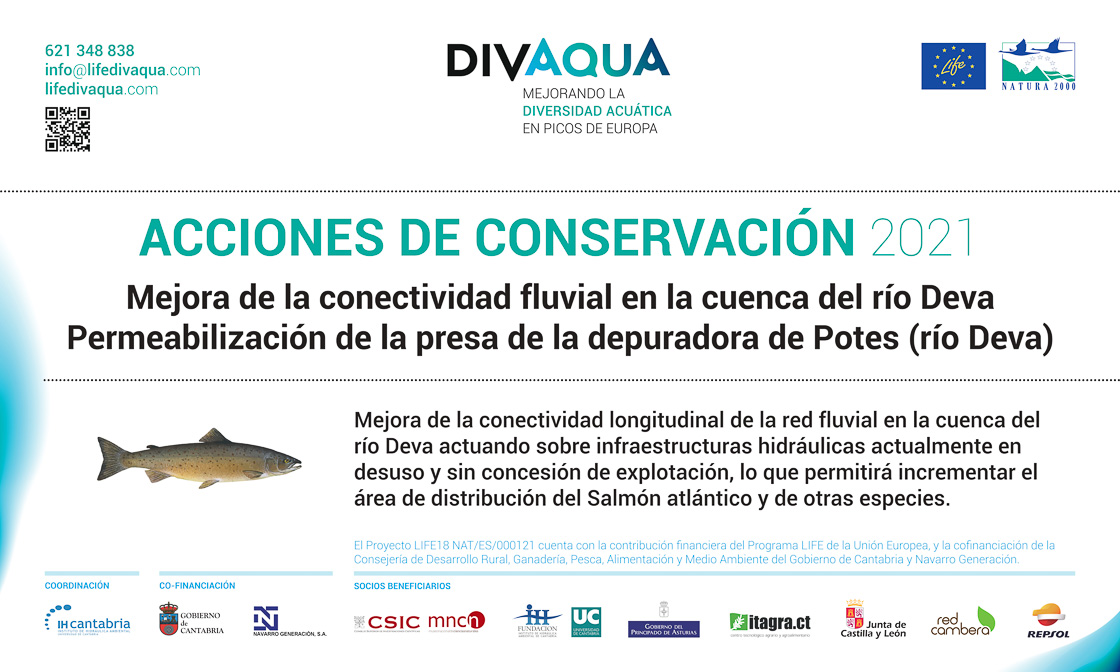 Acciones de conservación 2021 - Permeabilización de la presa de la depuradora de Potes_río Deva