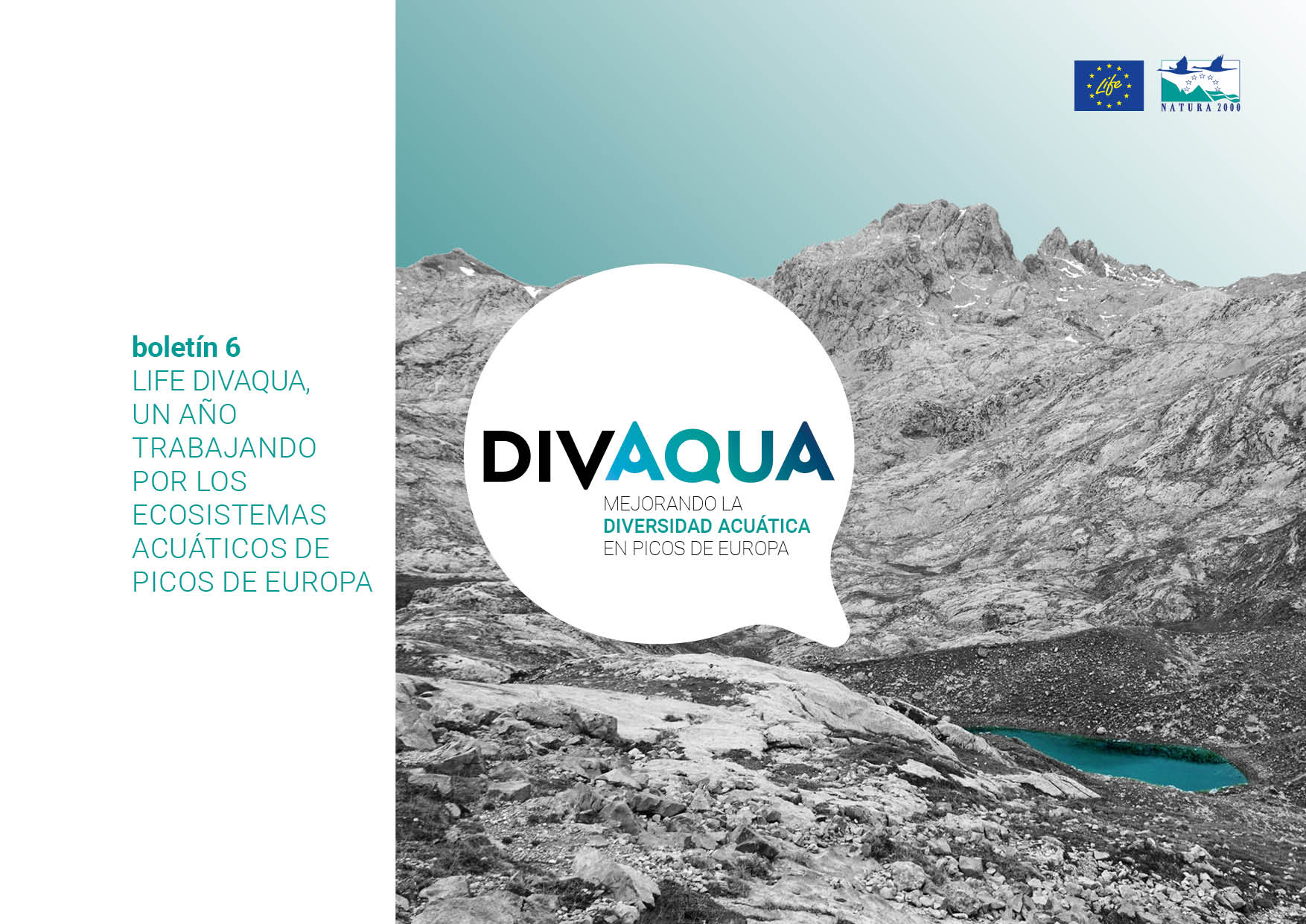Boletín 6 LIFE DIVAQUA_Un año trabajando por los ecosistemas acuáticos de Picos de Europa_portada