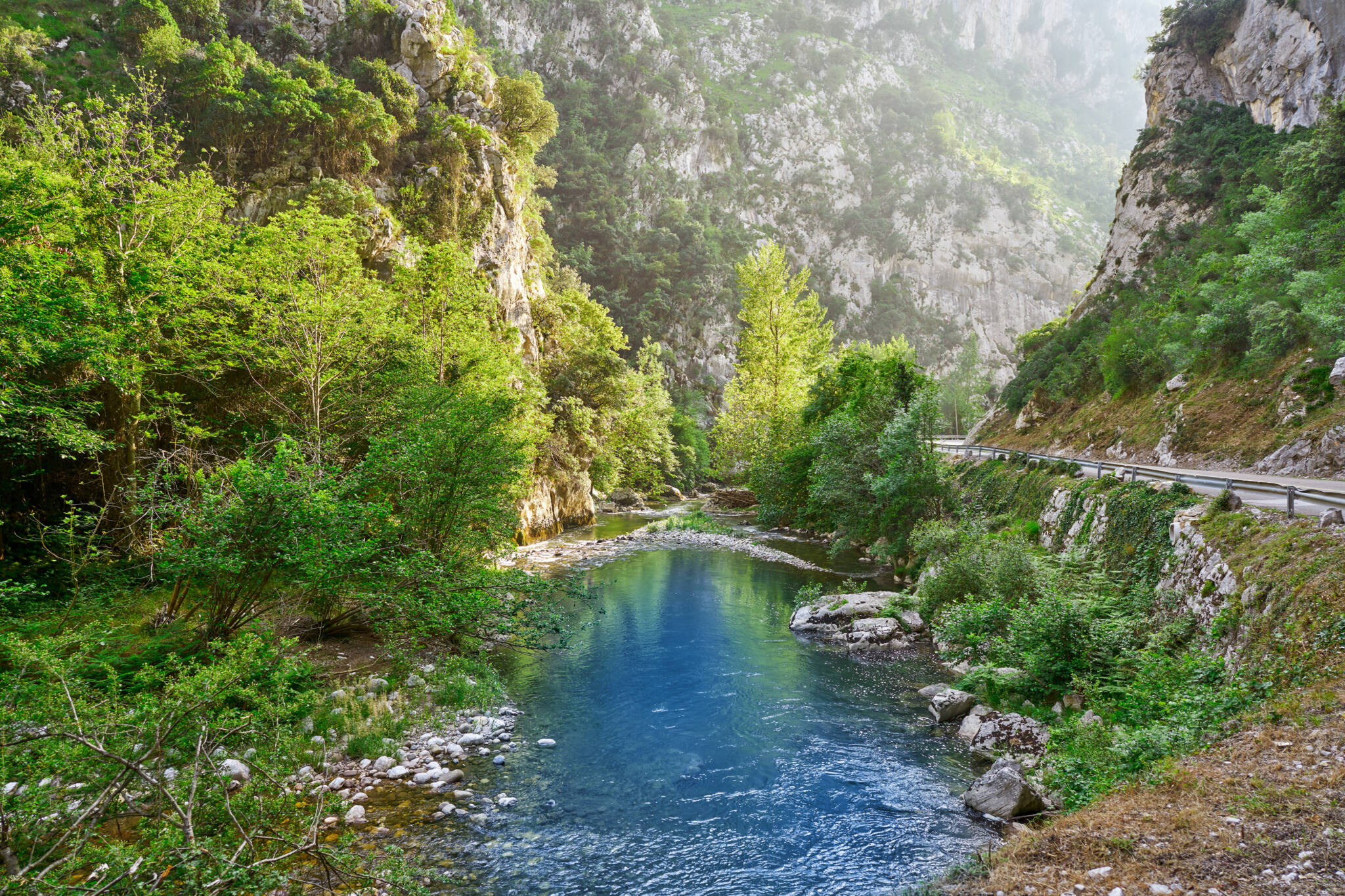 Rio Deva y bosque de ribera