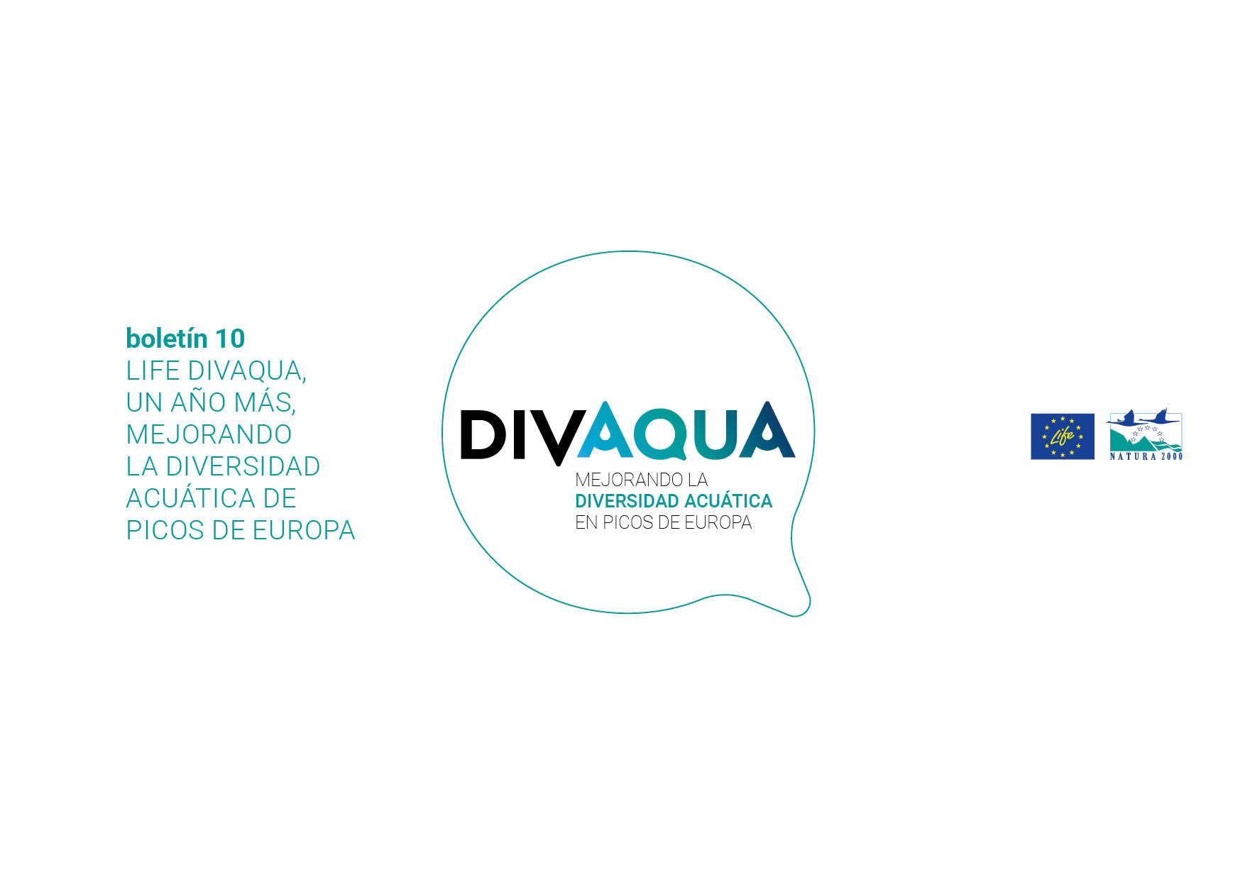 Boletín 10 LIFE DIVAQUA, un año más mejorando la diversidad acuática de Picos de Europa - portada
