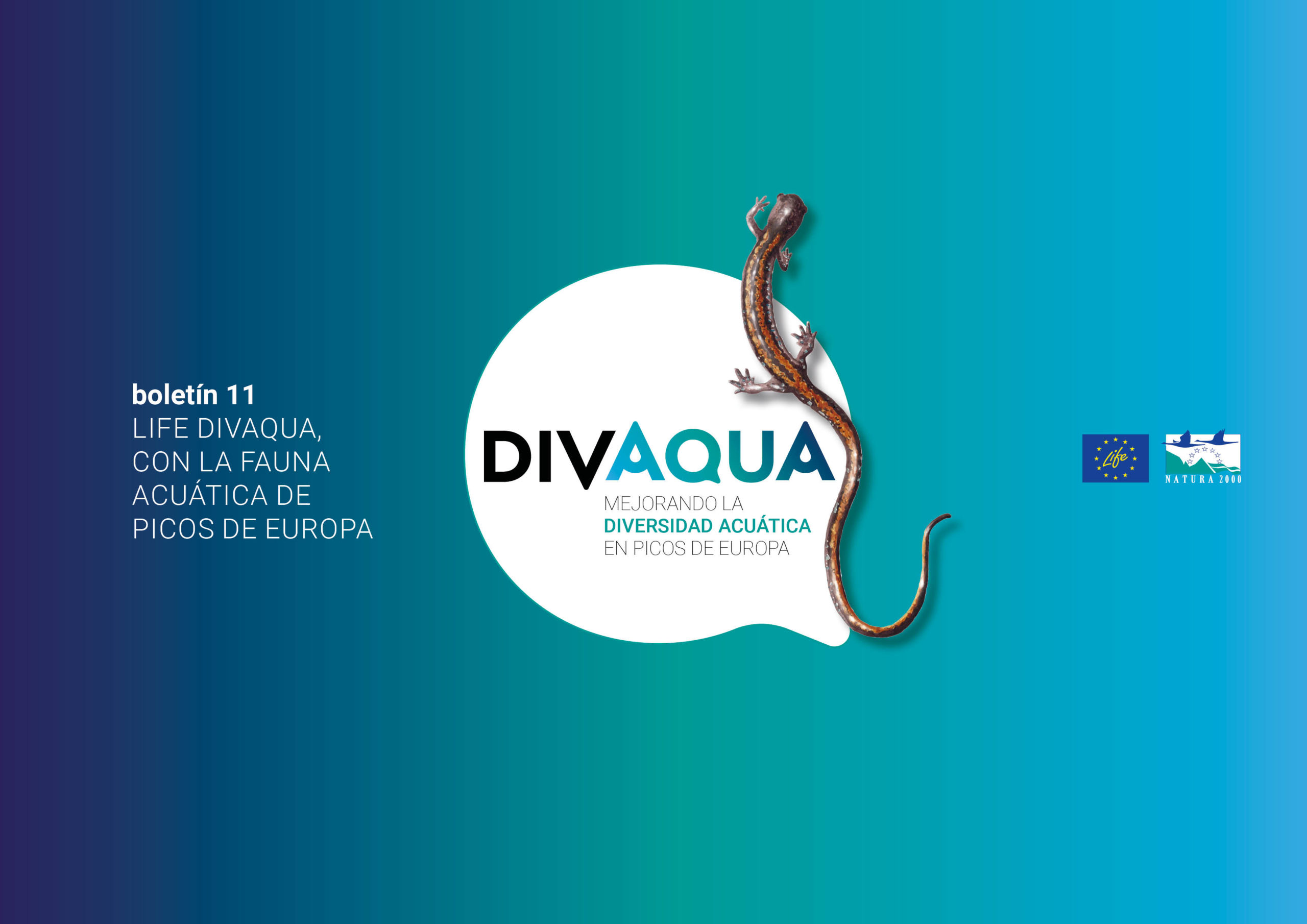 boletin11_LIFE DIVAQUA_Fauna acuática Picos de Europa_portada